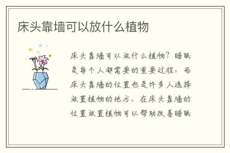 床头靠墙可以放什么植物(床头靠墙可以放什么植物好)